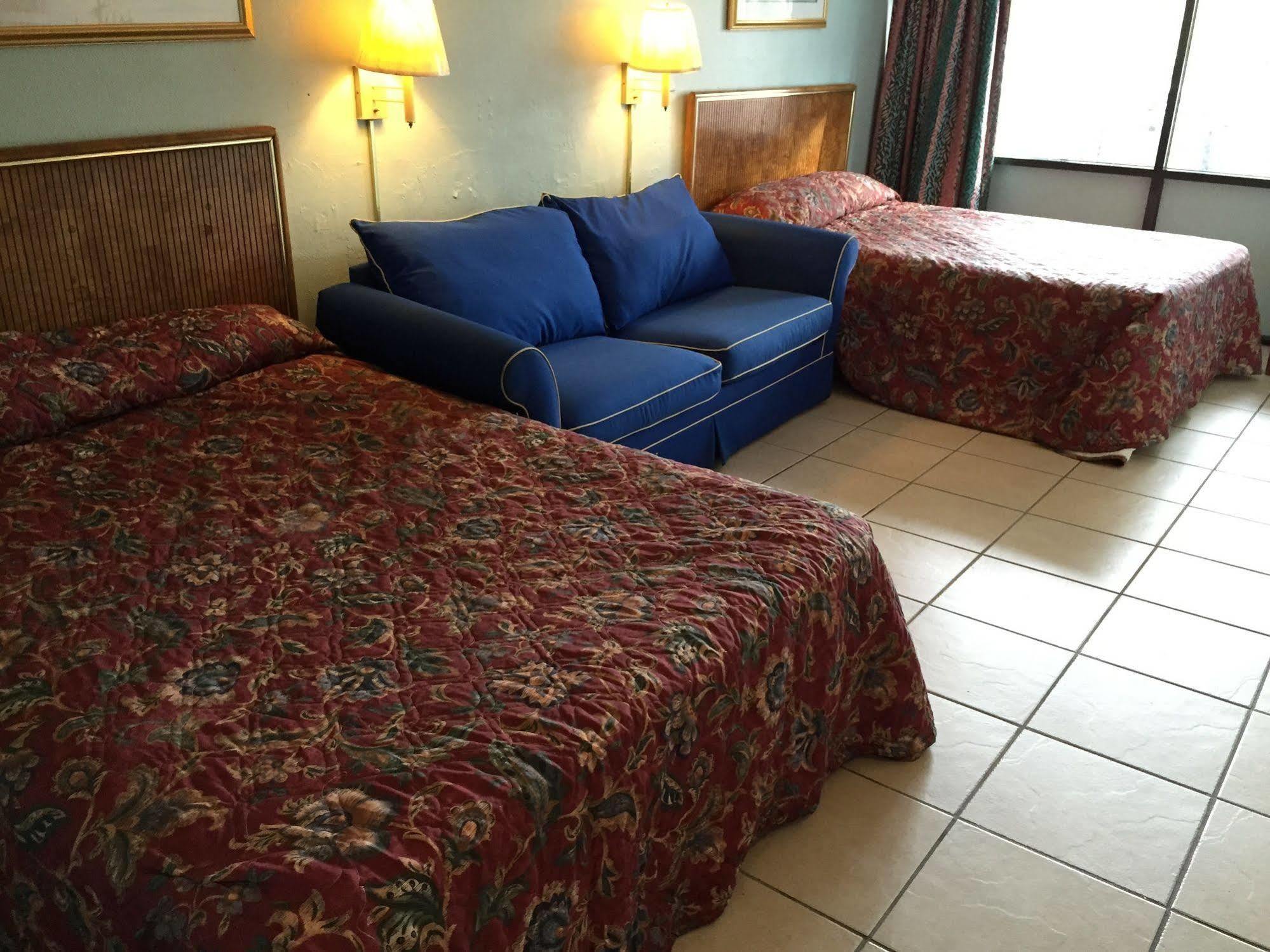شاطئ ميرتل Calypso Motor Inn المظهر الخارجي الصورة